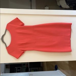 Fitted Scuba-material like Dress